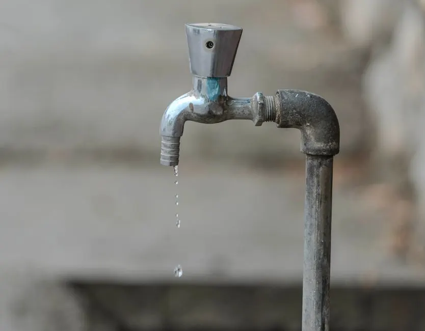 Our Expertise in Water Leak Detection
